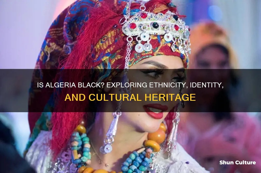 is algeria black