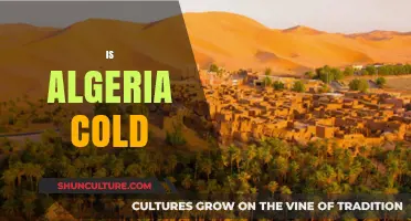 Is Algeria Cold? Exploring Its Climate and Seasonal Temperatures