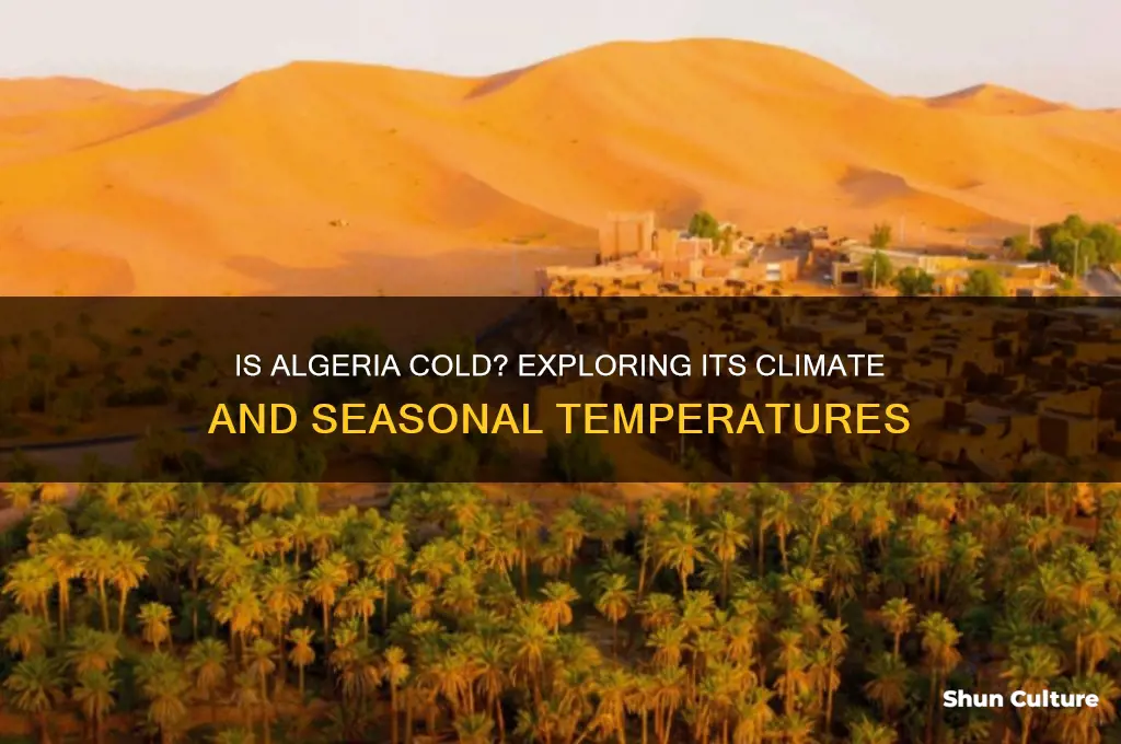 is algeria cold