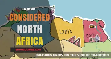 Is Algeria Part of North Africa? Exploring Geographic Boundaries