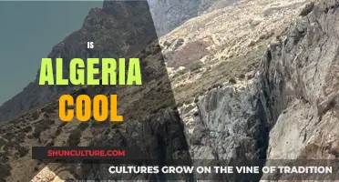 Is Algeria Cool? Exploring Its Culture, Vibes, and Modern Appeal