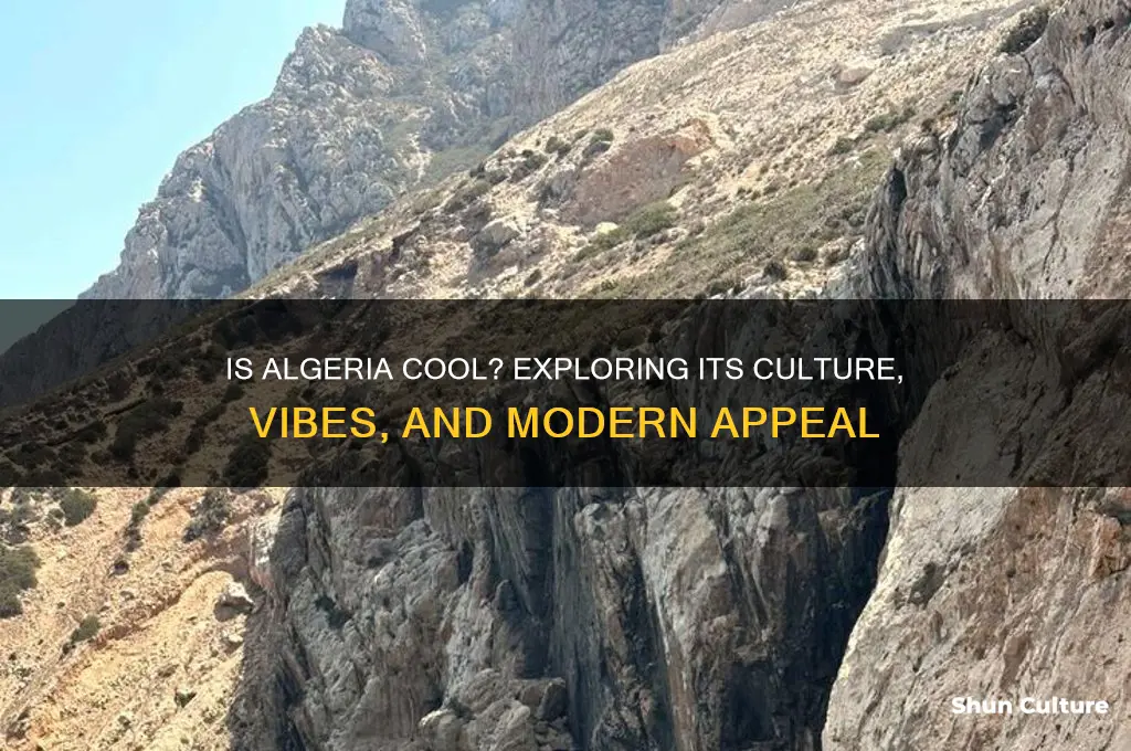 is algeria cool