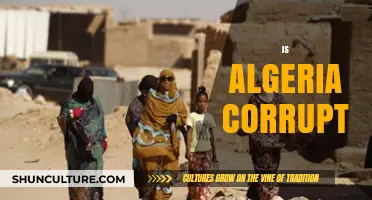 Is Algeria Corrupt? Exploring Transparency, Governance, and Public Trust