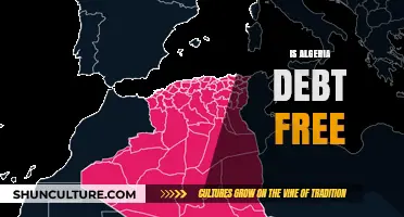 Is Algeria Debt-Free? Exploring the Country's Financial Independence
