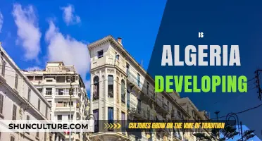 Algeria's Development: Progress, Challenges, and Future Prospects Explored