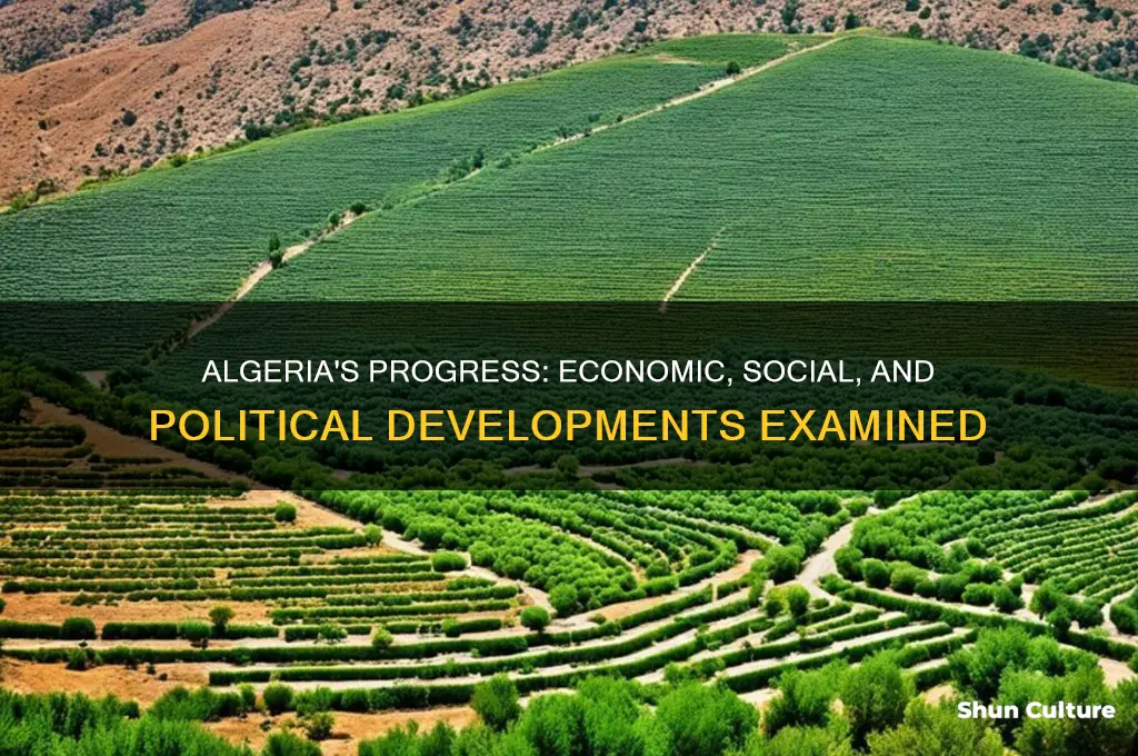 is algeria doing well