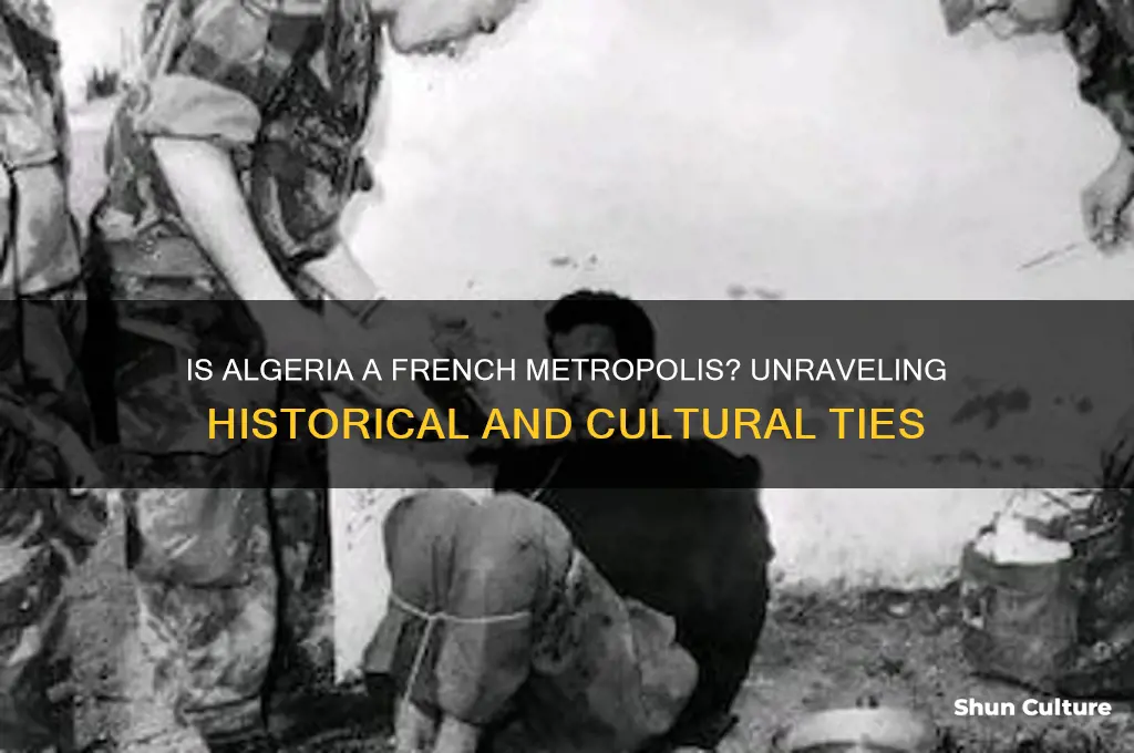 is algeria french metropolis