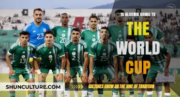 Algeria's World Cup 2022 Qualification: Will They Make It?