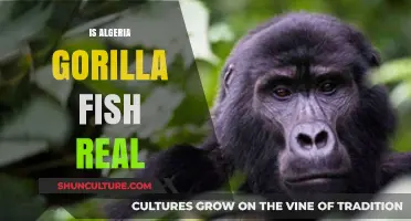 Is the Algeria Gorilla Fish Real? Unveiling the Myth and Facts