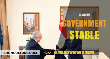 Algeria's Political Stability: Assessing Government Resilience Amid Challenges