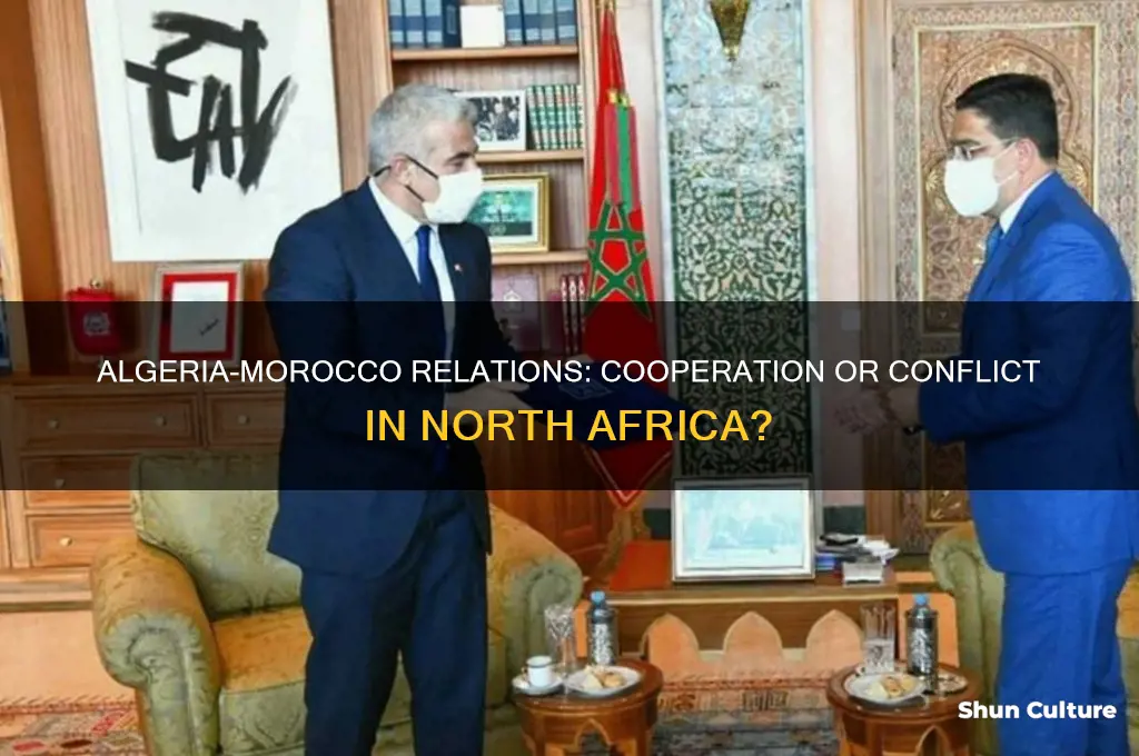 is algeria helping morocco