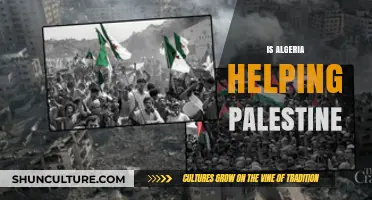 Algeria's Support for Palestine: A Historical and Current Perspective
