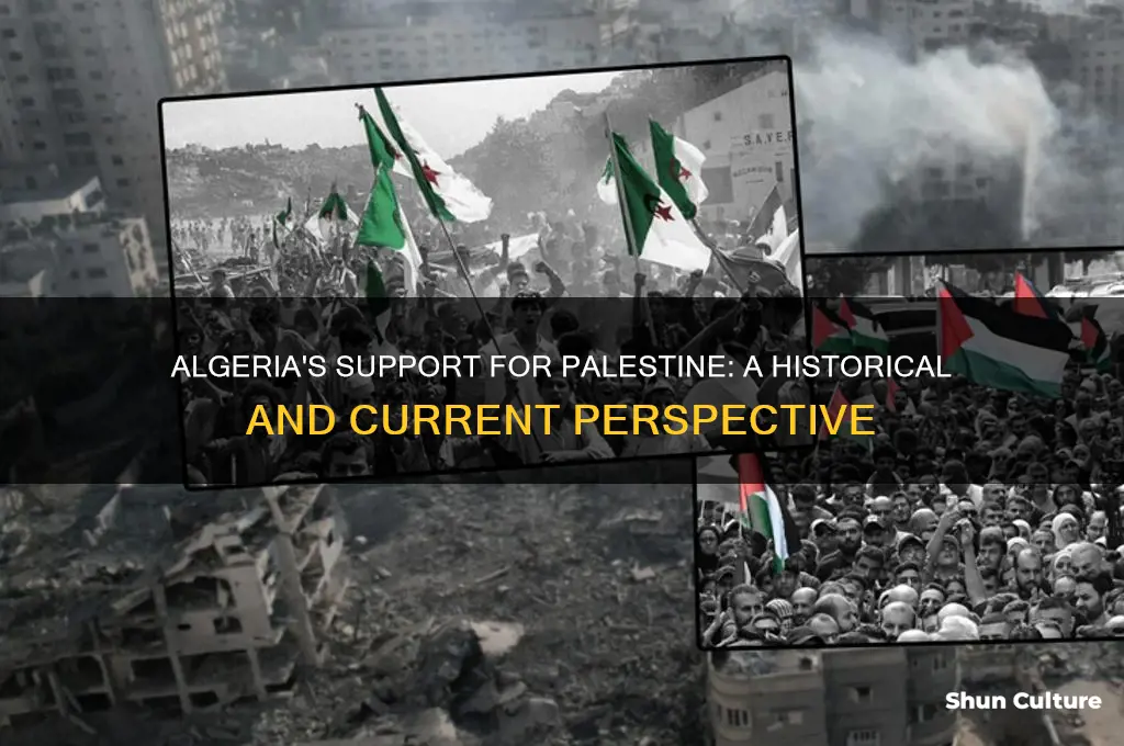 is algeria helping palestine