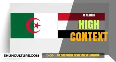 Understanding Algeria's High-Context Culture: Communication, Traditions, and Social Norms