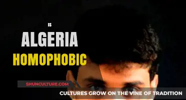 Exploring Algeria's Stance on LGBTQ+ Rights: Homophobia and Legal Realities