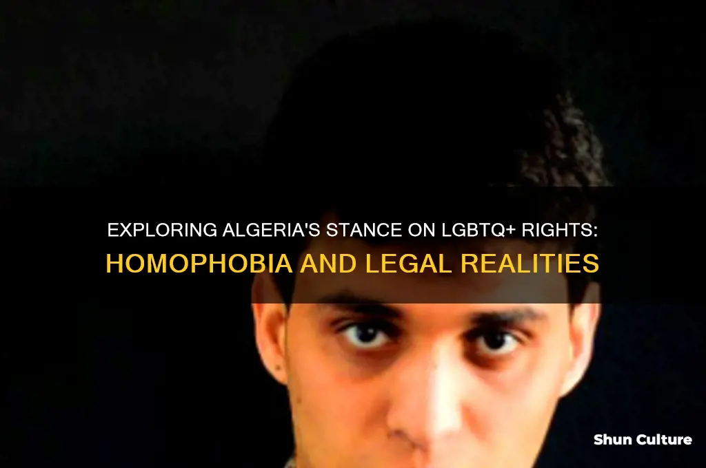 is algeria homophobic