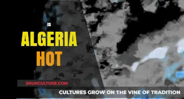 Is Algeria Hot? Exploring Its Climate and Weather Patterns