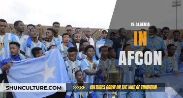 Is Algeria in AFCON 2023? Exploring the Desert Foxes' Journey