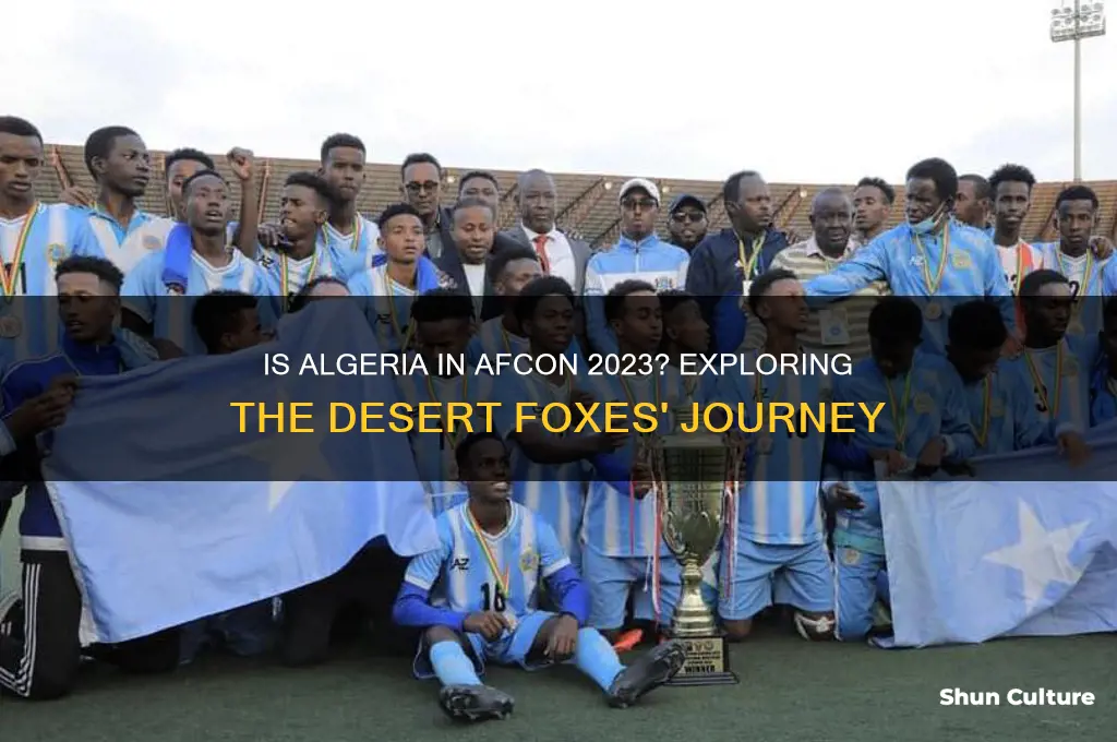 is algeria in afcon
