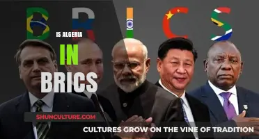 Algeria's BRICS Membership: Potential Benefits and Strategic Implications