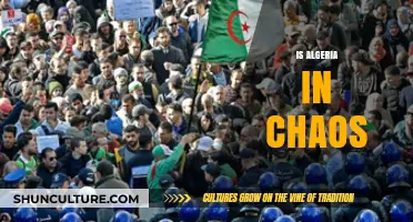 Algeria's Turmoil: Unraveling the Chaos and Political Unrest Today