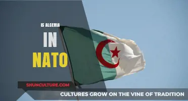 Is Algeria a NATO Member? Exploring Its Global Alliances