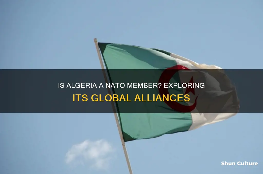 is algeria in nato