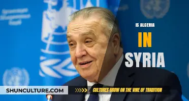 Is Algeria Involved in Syria? Unraveling the Geopolitical Connection