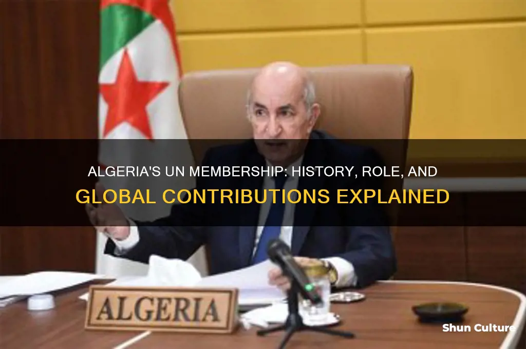 is algeria in the un