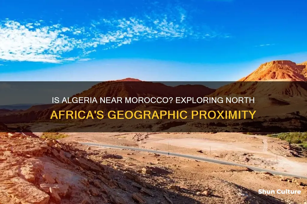 is algeria near morocco