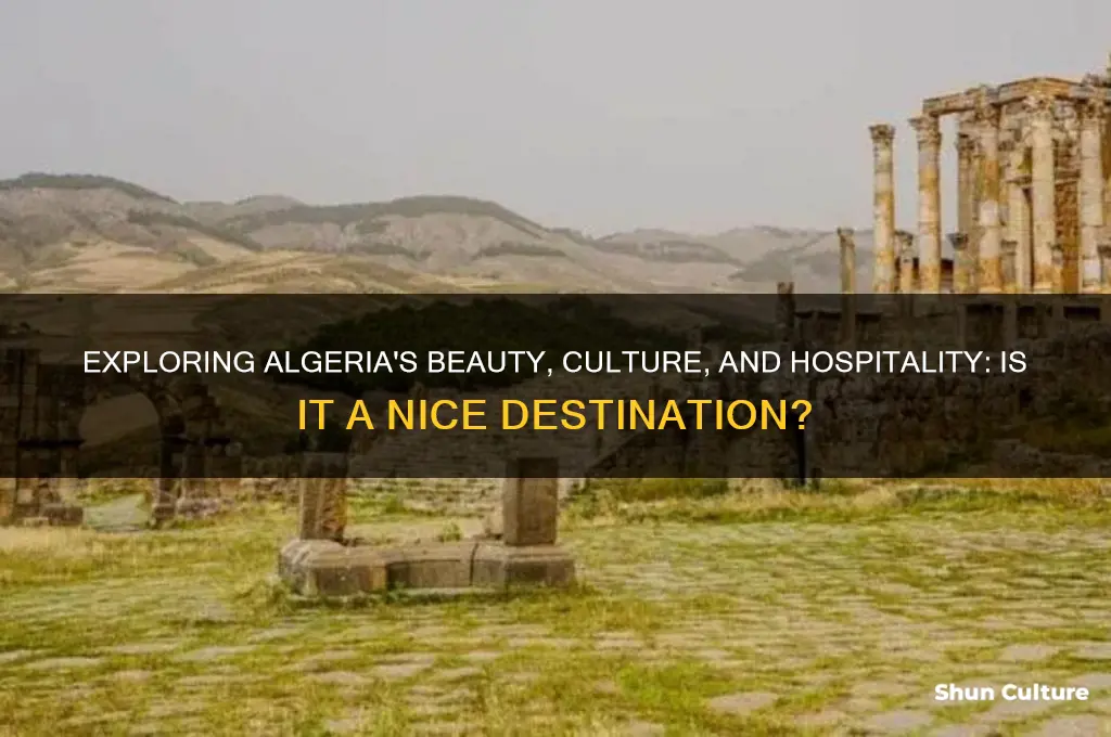 is algeria nice
