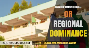Algeria's Influence: Global Powerhouse or Regional Dominance?