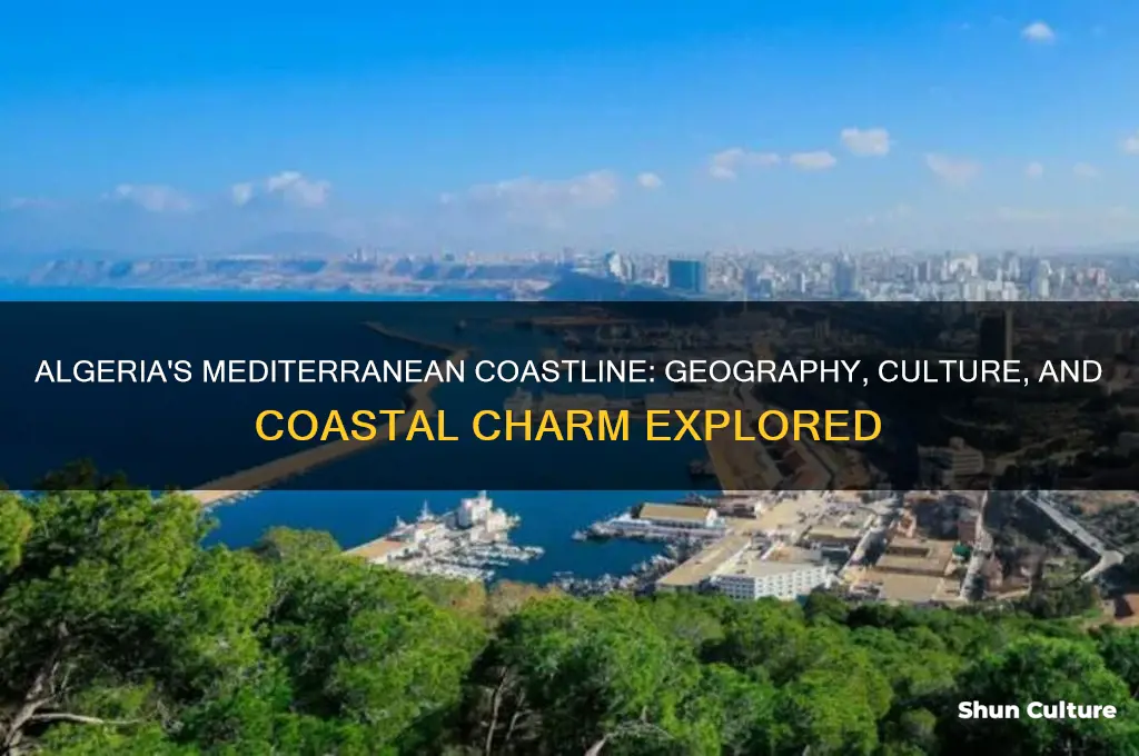 is algeria off the coast of the mediterranean sea