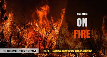 Algeria Ablaze: Unraveling the Truth Behind the Wildfires Crisis