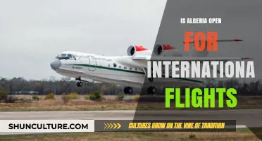 Algeria's Skies Reopen: International Flights Resume Post-Pandemic