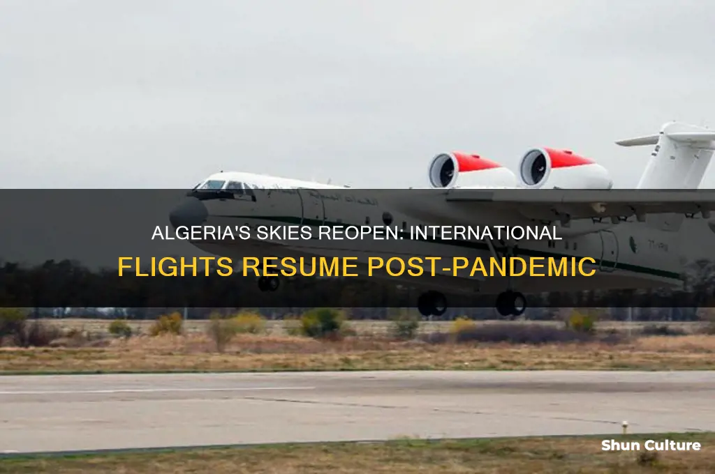 is algeria open for international flights
