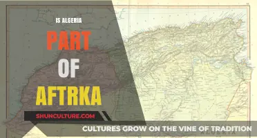 Is Algeria Part of Africa? Exploring Its Geographic and Cultural Ties