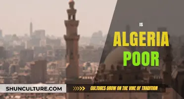 Is Algeria Poor? Unveiling Economic Realities and Challenges