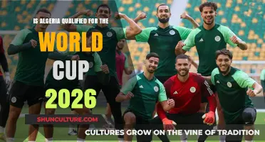 Algeria's 2026 World Cup Qualification Status: Updates and Analysis