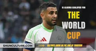 Algeria's World Cup Qualification Status: What You Need to Know