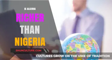 Algeria vs Nigeria: Which African Nation Holds Greater Wealth?