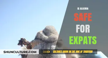 Is Algeria Safe for Expats? Exploring Security, Culture, and Lifestyle