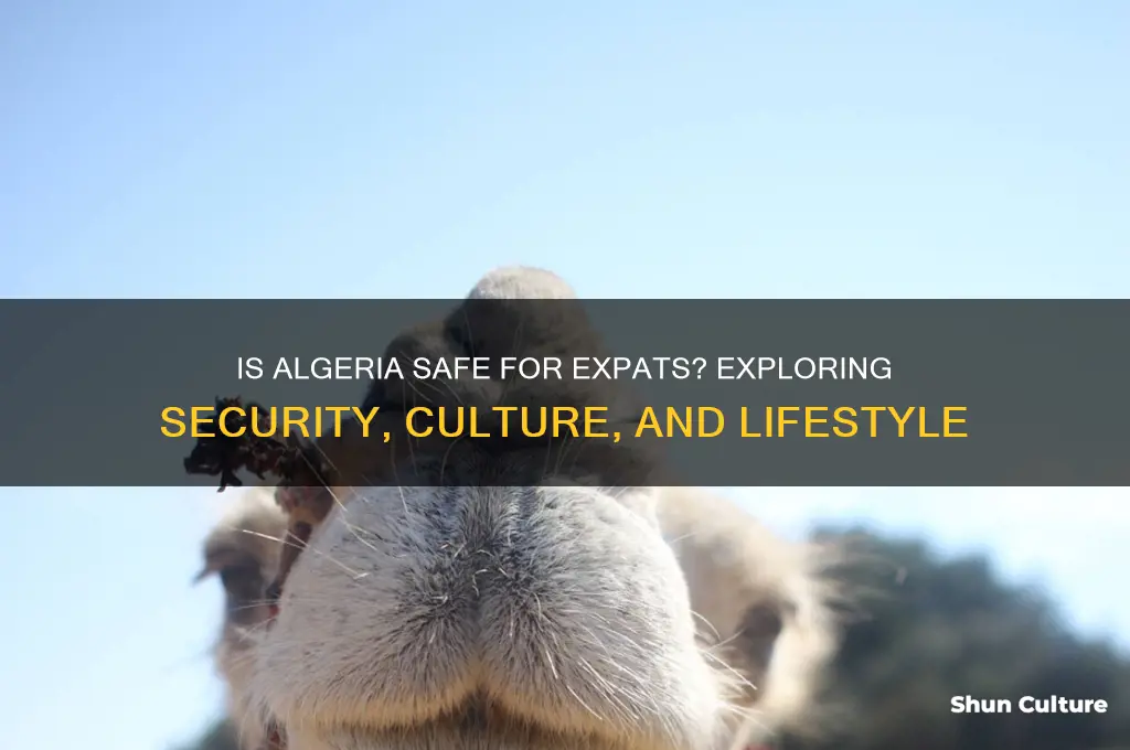 is algeria safe for expats