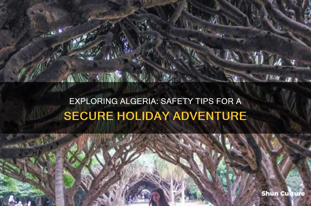 is algeria safe for holiday