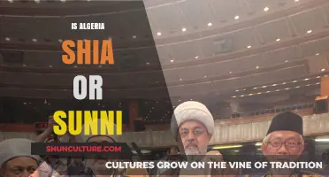 Algeria's Islamic Identity: Understanding Shia or Sunni Dominance