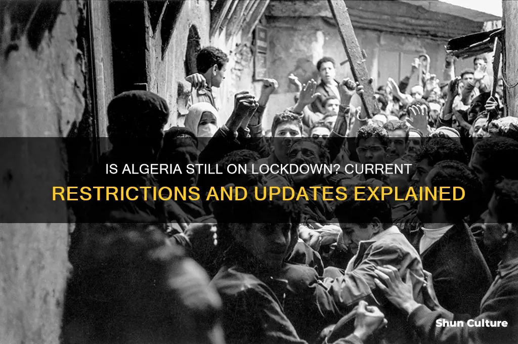 is algeria still on lockdown