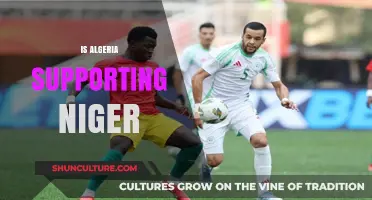 Algeria's Role in Niger: Support or Strategic Neutrality?