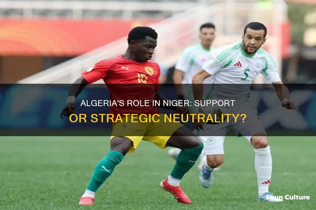 is algeria supporting niger