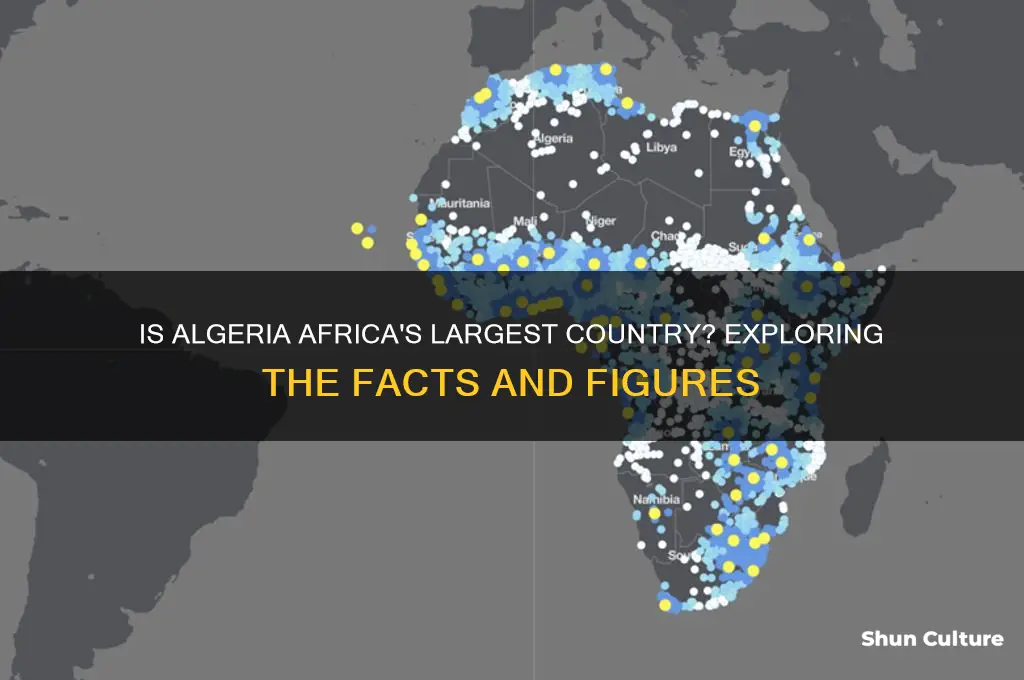 is algeria the biggest country in africa