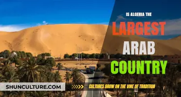 Is Algeria the Largest Arab Country? Exploring Its Size and Significance